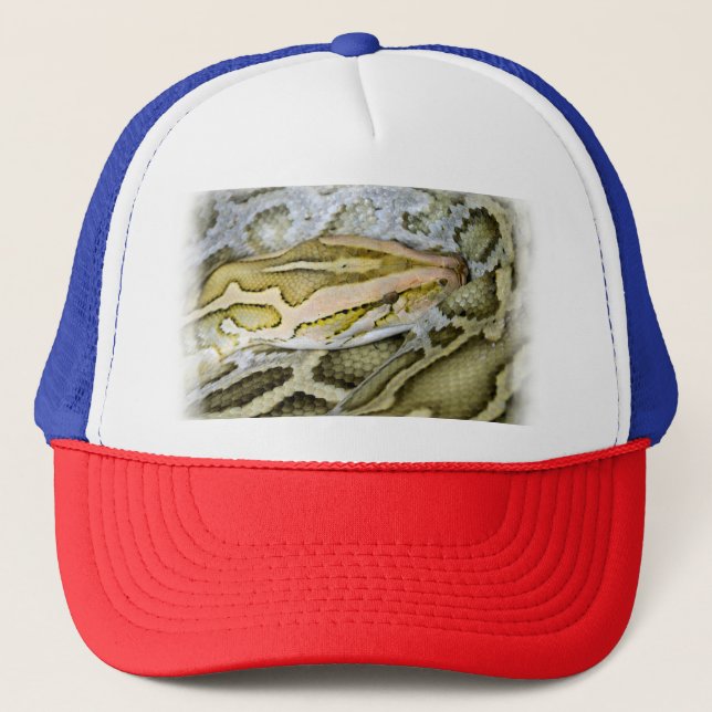 Casquette Closeup de python indien (Devant)