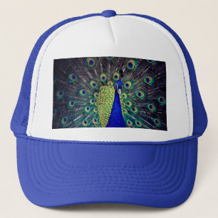 Casquette Cobalt Blue Peacock