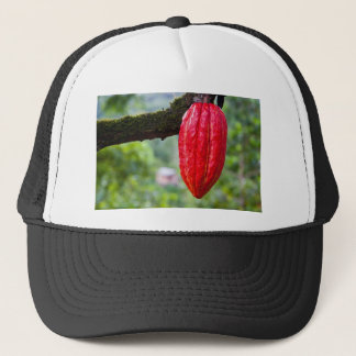 Casquette cocod