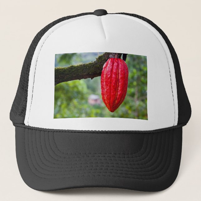Casquette cocod (Devant)