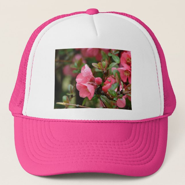 Casquette Cognassier à fleurs roses de printemps (Devant)