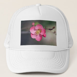 Casquette Coingot de Fleur de Poirier Parfait Rose