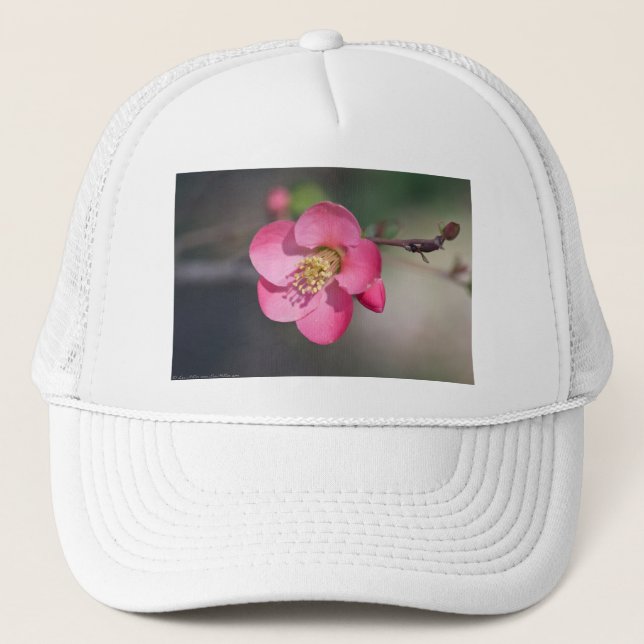Casquette Coingot de Fleur de Poirier Parfait Rose (Devant)