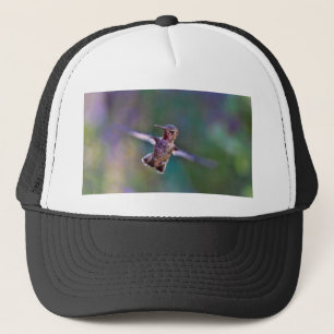 Casquette Colibri