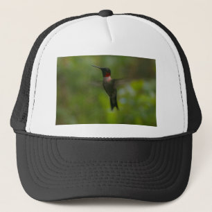 Casquette Colibri Ruby Throat