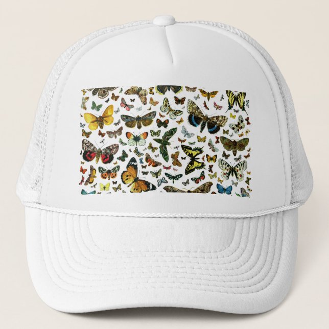 Casquette Collage des papillons de nuit et des papillons de  (Devant)