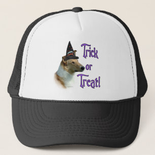 Casquette Collie (sable, lisse) Trick
