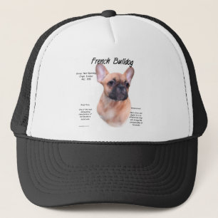 Casquette Conception de l'histoire des Bulldog français