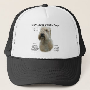 Casquette Conception de l'histoire du Terrier revêtu d'un re