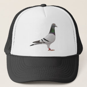 Casquette conception pigeon