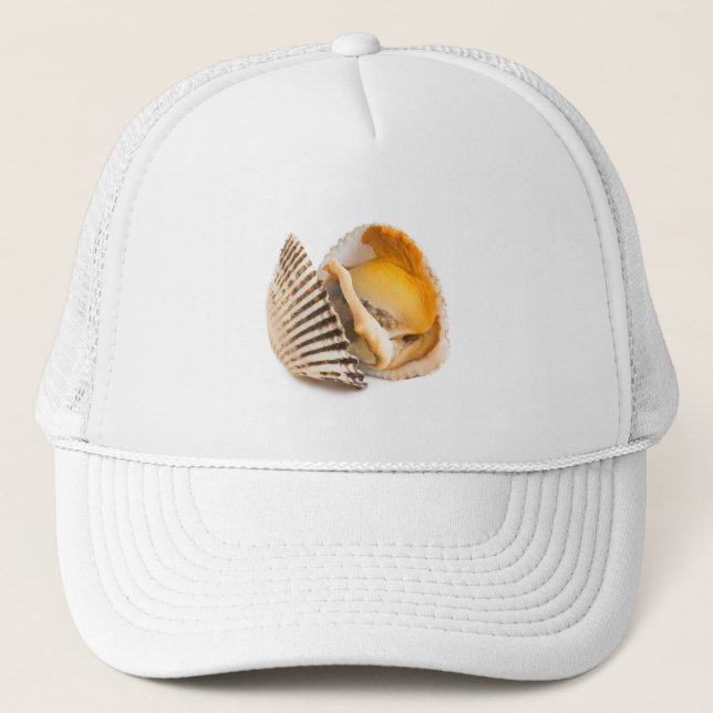 Casquette Coquille (Devant)
