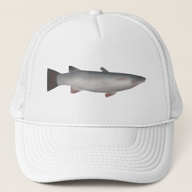 Casquette Corsula (Devant)