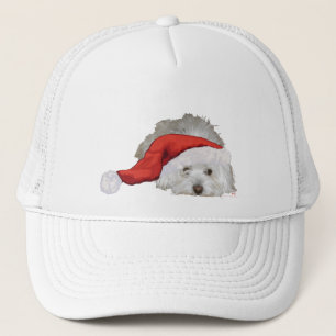 Casquette Coton de Tulear - En attente