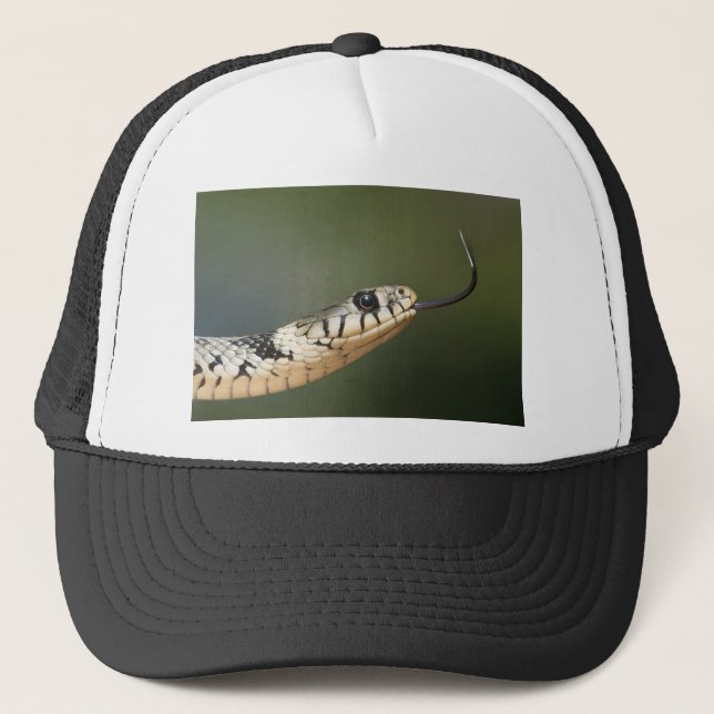 Casquette Couleuvre à collier (Devant)