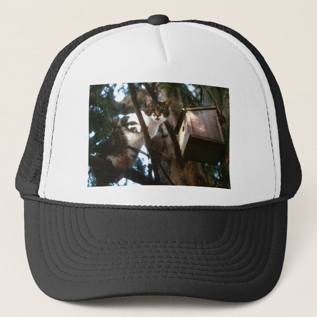 Casquette Coupable ! (Devant)