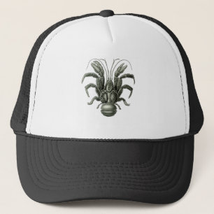 Casquette Crabe de cocotiers