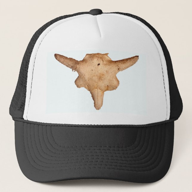 Casquette Crâne de buffle (Devant)