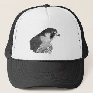 Casquette Crayon de faucon pèlerin