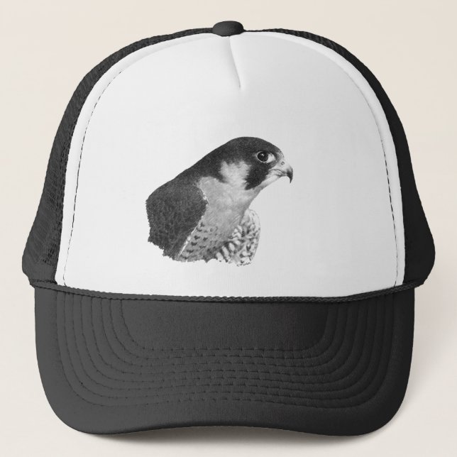 Casquette Crayon de faucon pèlerin (Devant)
