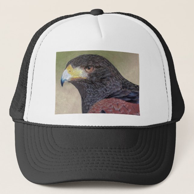 Casquette Crayons de couleur Harris Hawk (Devant)