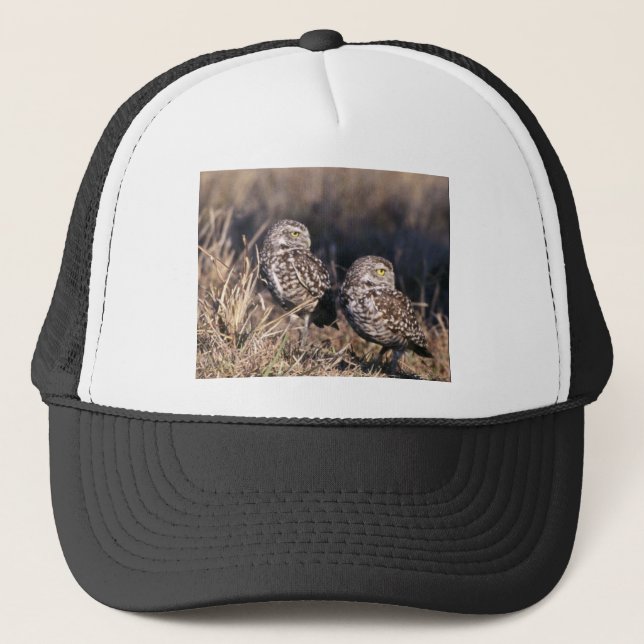 Casquette Creuser le hibou (Devant)