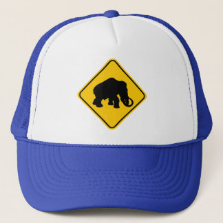 Casquette Croisement gigantesque