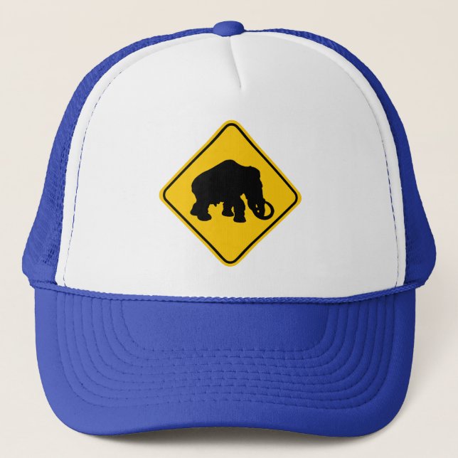 Casquette Croisement gigantesque (Devant)