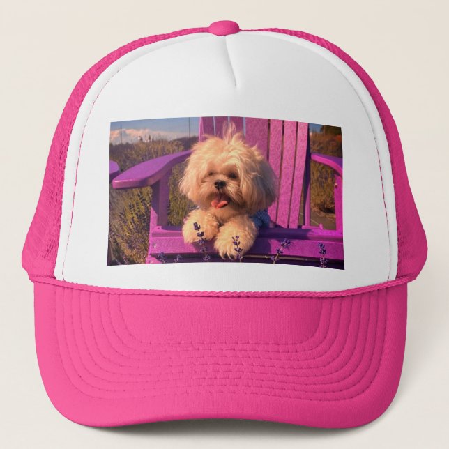 Casquette Cuddly Curious Shih Tzu Puppy, Dog Relaxing (Devant)
