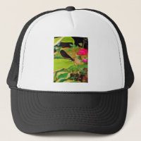 Damselfly et Rose