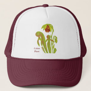 Casquette Darlingtonia de plante carnivore