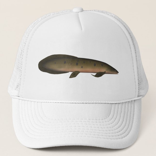 Casquette Dauphin australien (Devant)