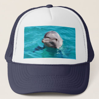 Casquette Dauphin en photo de l'eau bleue