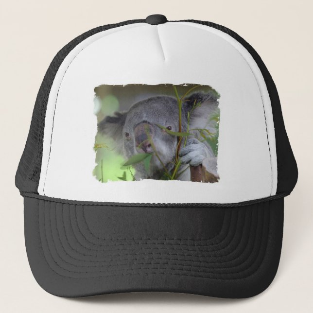 Casquette de baseball australien de koala (Devant)