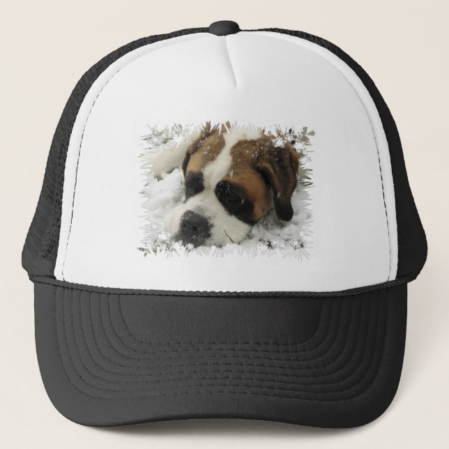 Casquette de baseball de chien de St Bernard (Devant)