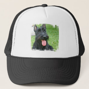 Casquette de baseball de chien de Terrier