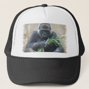 Casquette de baseball de gorille de Silverback