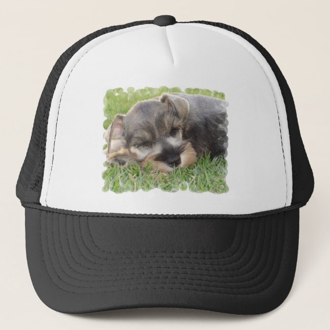 Casquette de baseball de Schnauzer de sommeiller (Devant)