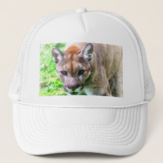 CASQUETTE DE BASEBALL FLORIDA PANTHER