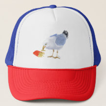 Casquette de baseball Seagull