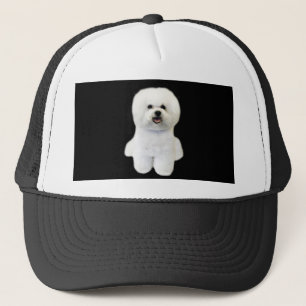 Casquette de Bichon