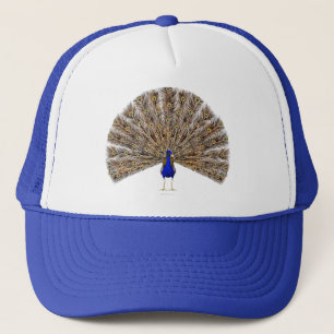 Casquette de bleu de paon