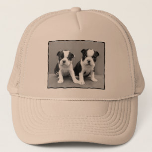 Casquette de Boston Terrier
