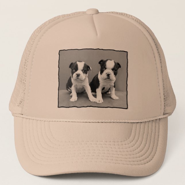 Casquette de Boston Terrier (Devant)