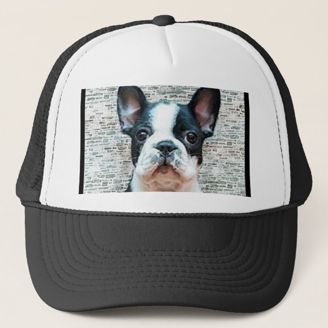 Casquette de bouledogue français (Devant)