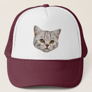 Casquette de camionneur de chat