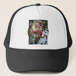 Casquette de camionneur Flamant rose
