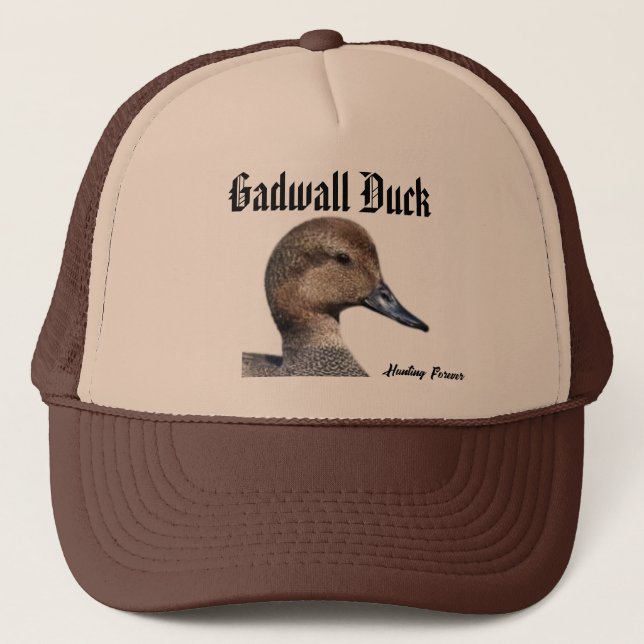 Casquette de canard Gadwall (Devant)