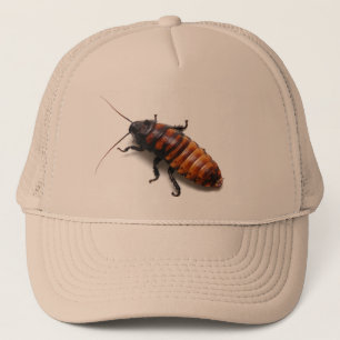 Casquette de cancrelat