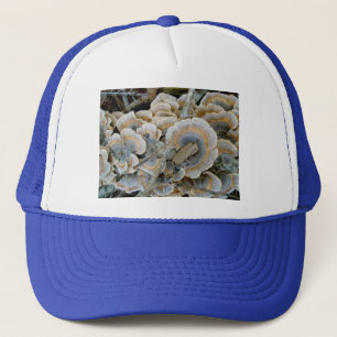 Casquette de champignon de plateau bleu