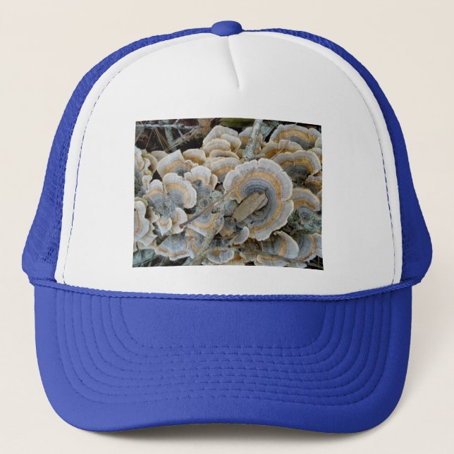 Casquette de champignon de plateau bleu (Devant)